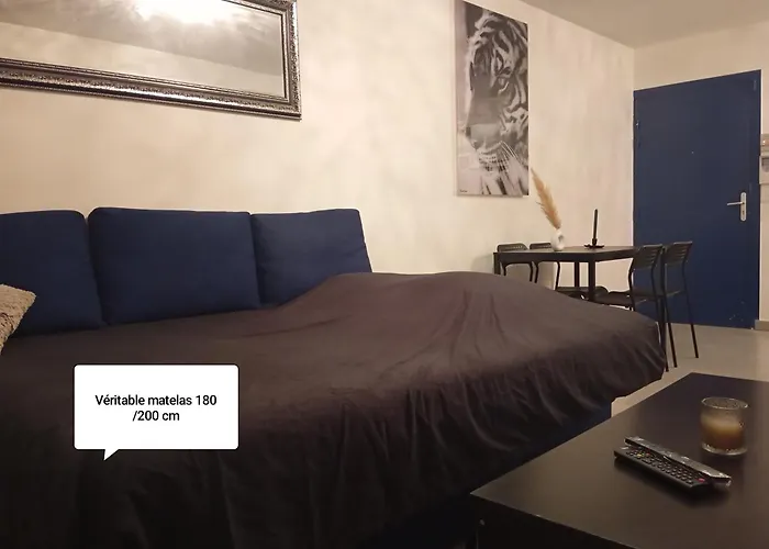 Appartement Design Proche Des Grand Axes